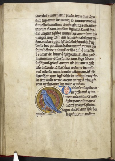 Royal MS 12 C XIX f.50v, Hoopoe, de 
