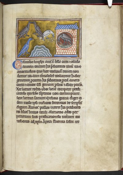 Royal MS 12 C XIX f.54r Pombas, do 
