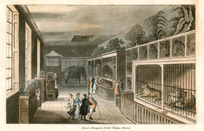 Royal Menagerie, Exeter Change, Strand (gravura a cores) de English School