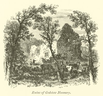 Ruínas do Convento de Godstow de English School