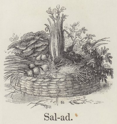 Salada (gravação) de English School