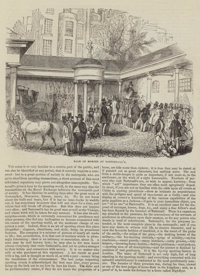 Venda de Cavalos na Tattersall