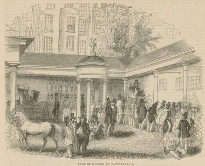 Venda de cavalos em Tattersalls de English School