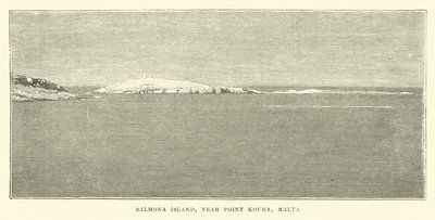 Ilha Salmona, perto de Point Koura, Malta de English School