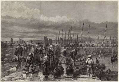 Pesca de sardinha na costa da Bretanha de English School