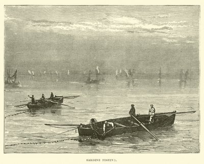 Pesca de sardinha de English School