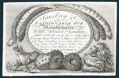 Saubry & Co, fabricantes de peles na moda, cartão de comércio de English School