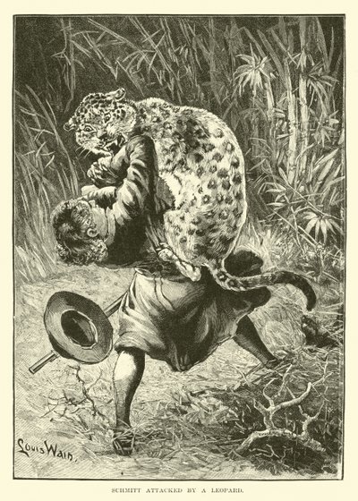 Schmitt atacado por um leopardo de English School