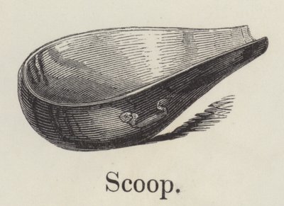 Scoop (gravura) de English School