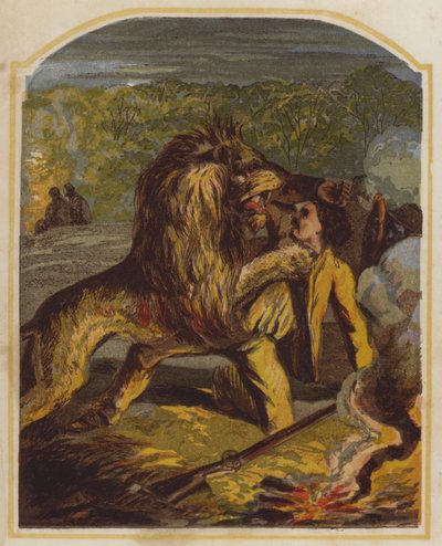 O missionário escocês David Livingstone atacado por um leão em África (cromolitografia) de English School
