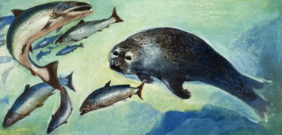 Selo e peixe de English School