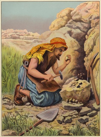 À procura de tesouros escondidos (cor litho) de English School