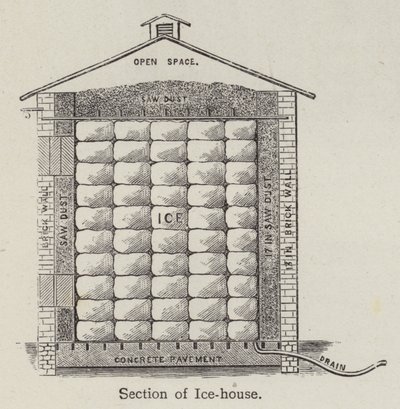Secção da Casa do Gelo (litho) de English School