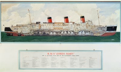 Plano seccional do R.M.S. Queen Mary por G.Havis (plano do século XX) de English School