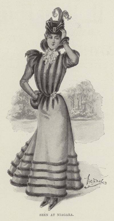 Visto em Niagara (litho) de English School
