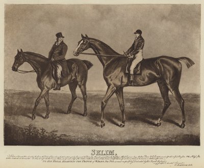 Selim (litografia) de English School