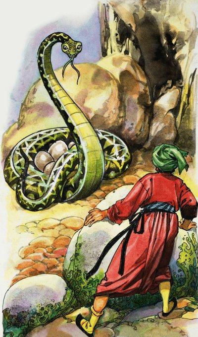 Serpente protegendo seus ovos de English School