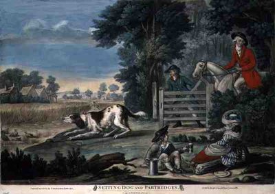 Setting Dog and Partridges, pub. por Carington Bowles (fl.1744-93) de English School