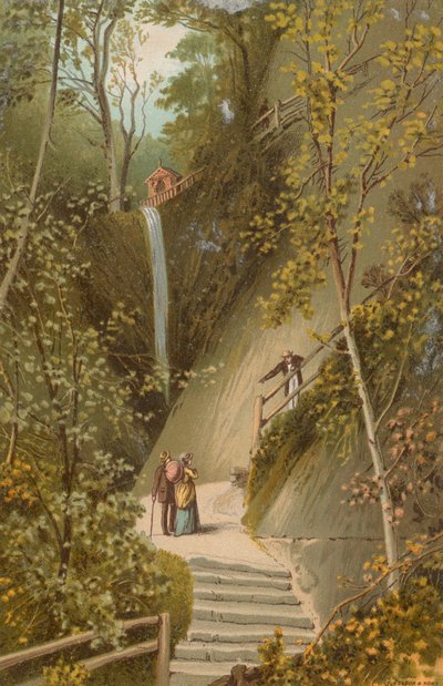 Shanklin Chine - Ilha de Wight de English School