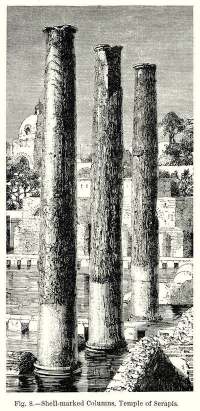 Colunas marcadas com conchas, Templo de Serápis (gravura) de English School