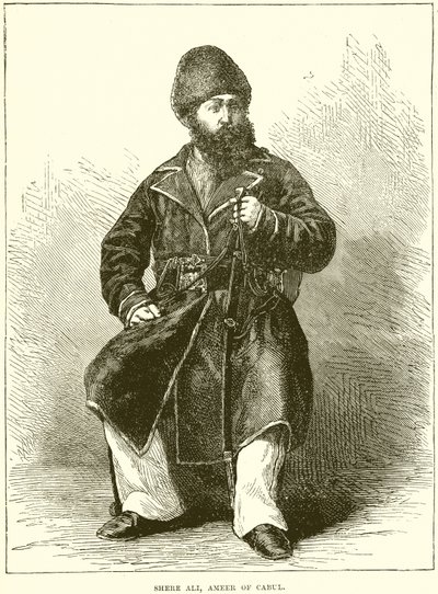 Shere Ali, Ameer de Cabul de English School