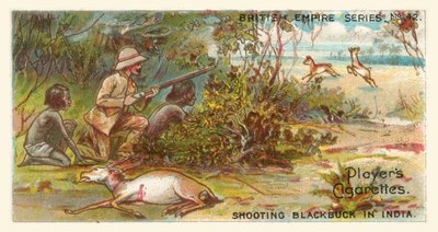 Fotografar patos negros na Índia (cromolitho) de English School