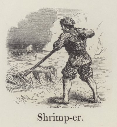 Camarão (gravura) de English School