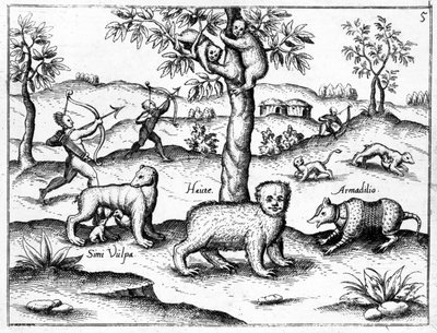 Simi Vulpa, Haute e Armadilio, ilustração de "O Descobrimento da Guiana", de Sir Walter Raleigh, publicado em 1599 de English School