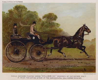Single Harness Phaeton Horse "Columbine," Propriedade de Charles Baynes Esq de English School