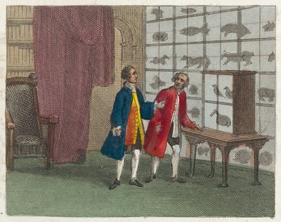 Museu de Sir Hans Sloane (gravura a cores) de English School