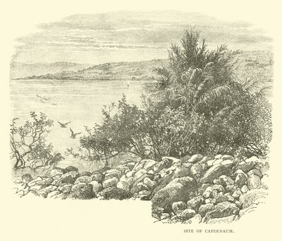 Site de Cafarnaum de English School