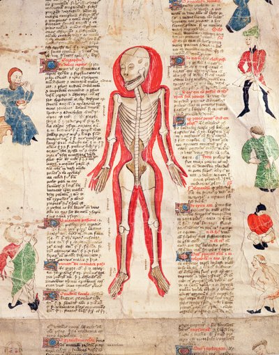 Esqueleto, de De arte phisicali e de cirugia por John Ardene, 1412 de English School