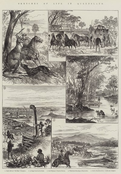 Sketches of Life in Queensland (gravura) de English School