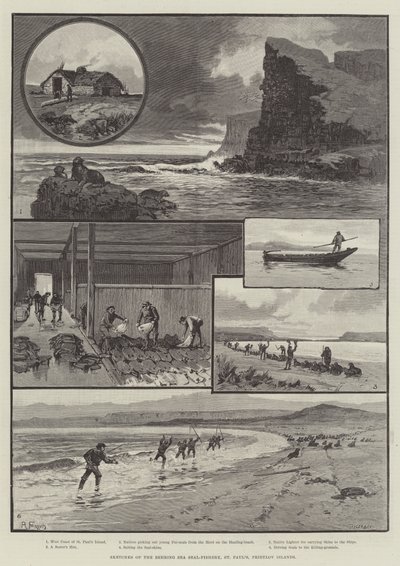 Esboços da pesca de focas no mar de Behring, São Paulo, Ilhas Pribylov de English School
