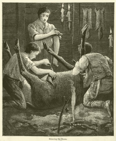 Esfolar o alce (gravura) de English School