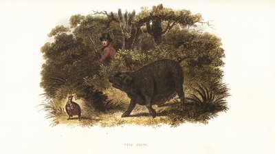 Puta, a porca fêmea treinada para ser um cão-postador ou cão-pistola por Richard Toomer, guarda de caça de Sir Henry Mildmay. de English School