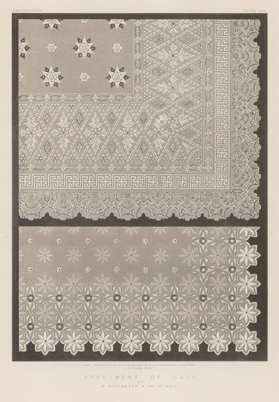 Espécimes de renda por B Rittmeyer e Co, St Gall de English School