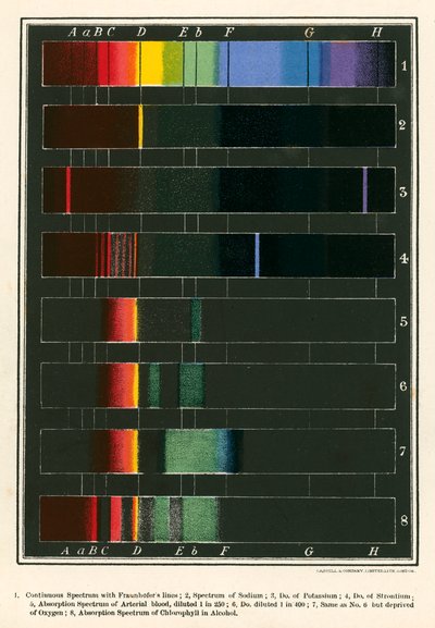 Spectrum (litografia a cores) de English School