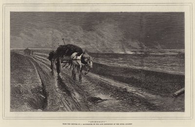 Spindrift (gravura) de English School