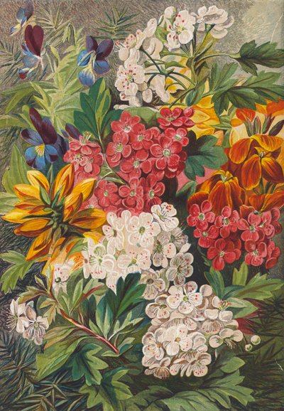 Flores da primavera (litografia a cores) de English School