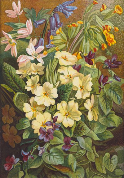 Flores da primavera (litografia a cores) de English School