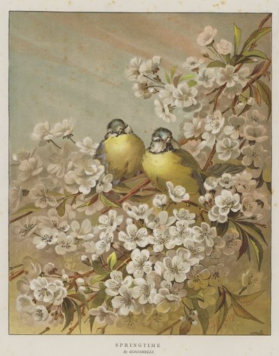 primavera (cromolitho) de English School