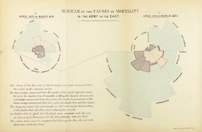 Gráfico estatístico inventado por Florence Nightingale para mostrar a predominância da doença como causa de mortalidade no exército britânico durante a Guerra da Crimeia, abril de 1854 a março de 1855 e abril de 1855 até Ma de English School