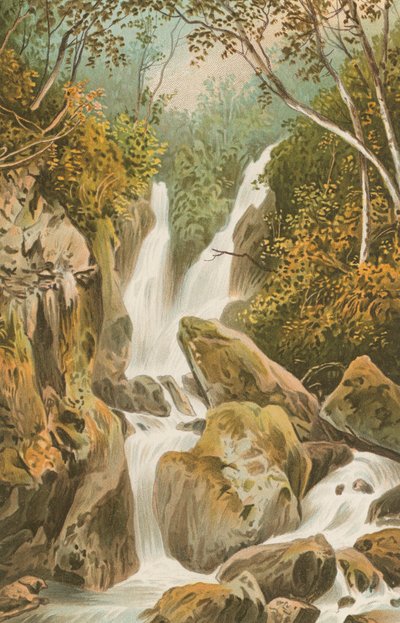 Força de estoque - Ambleside de English School