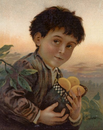 Fruta roubada (cor litho) de English School