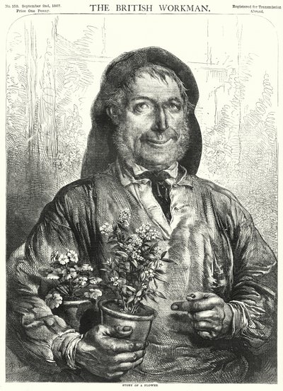 História de uma flor (gravura) de English School