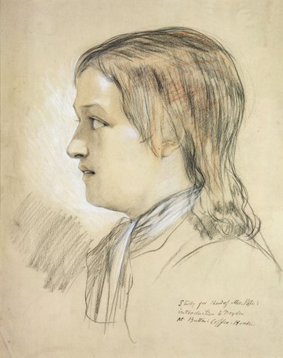 Estudo para o chefe de Alex Pope (1688-1744) introdução a Dryden, no Butlers Coffee House (lápis, giz e carvão sobre papel) de English School