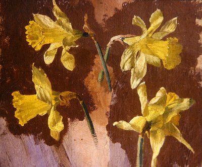 Estudo dos narcisos, c.1830 (óleo sobre papel) de English School