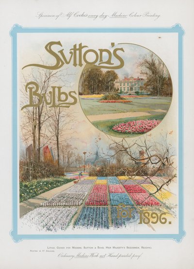Lâmpadas Suttons para 1896 de English School