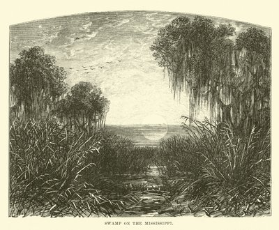 Pântano no Mississippi de English School
